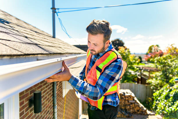 Best Roof Moss and Algae Removal  in Houston, MS